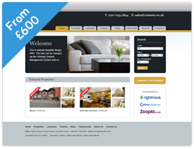 Clear Theme Estate Agent Website